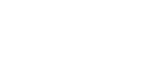 high low logo in white