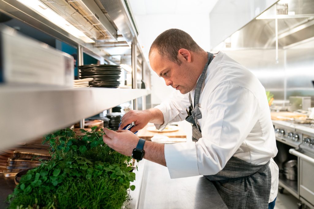 Chef picking up herbs