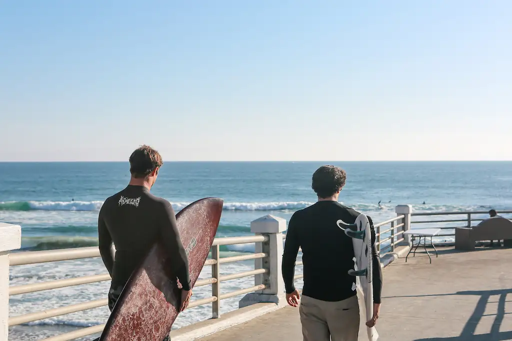 Two surfers