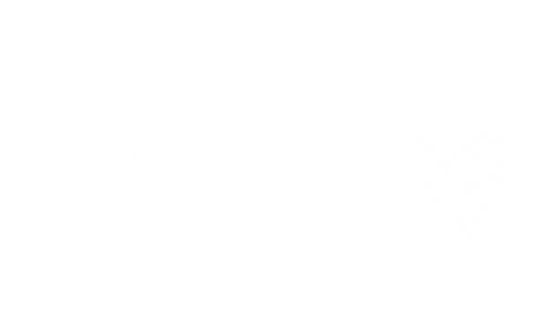 An's logo in white