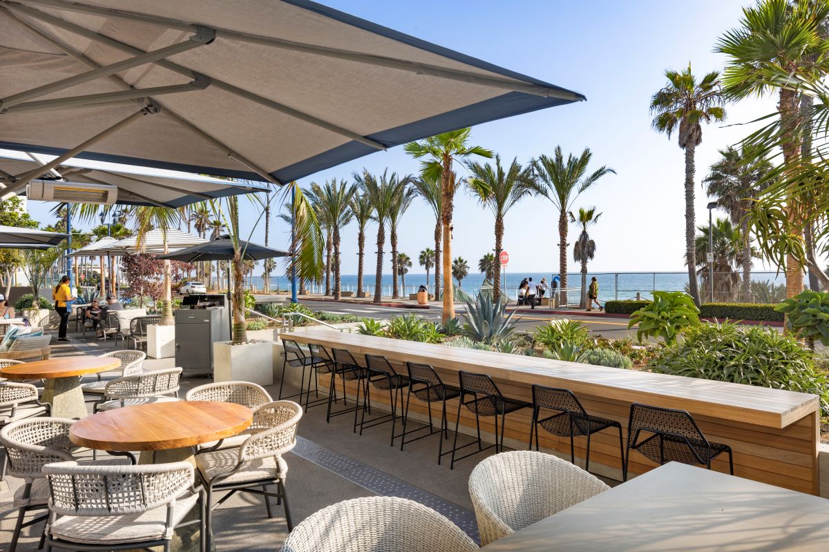 Oceanfront patio dining area with palm trees, shaded seating, and coastal views beside the beach.