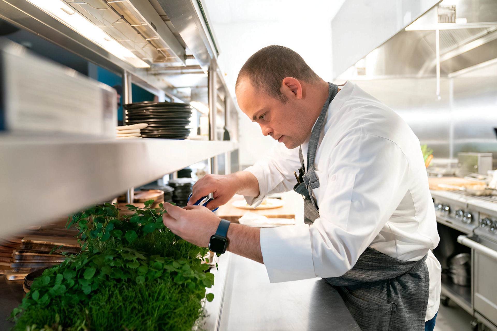 Chef cutting herbs in Mission Pacific Hotel